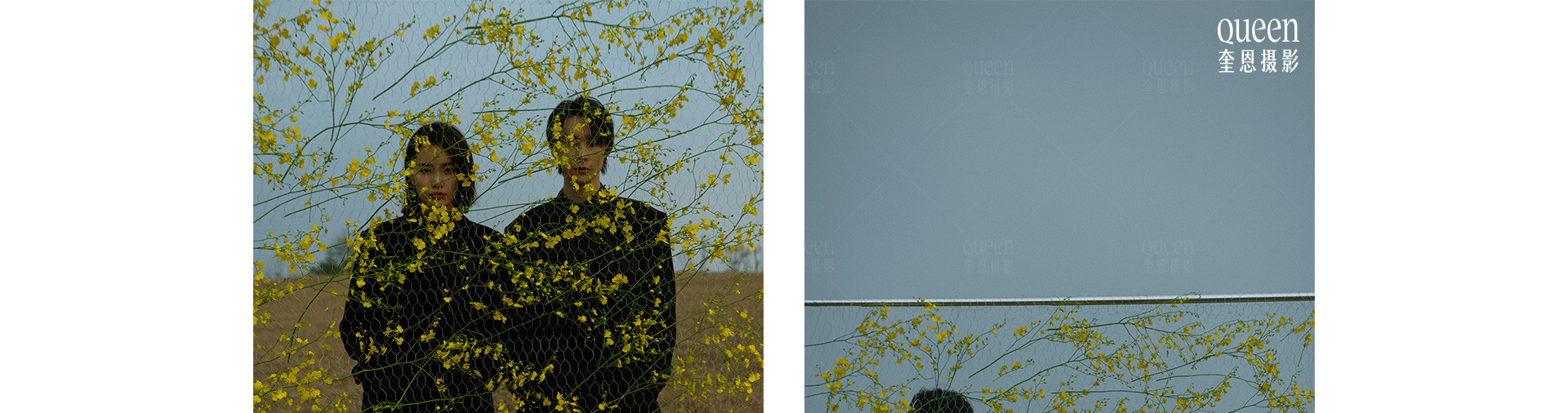 春天的影像诗 | 2023 奎恩摄影 特别企划 新品发布