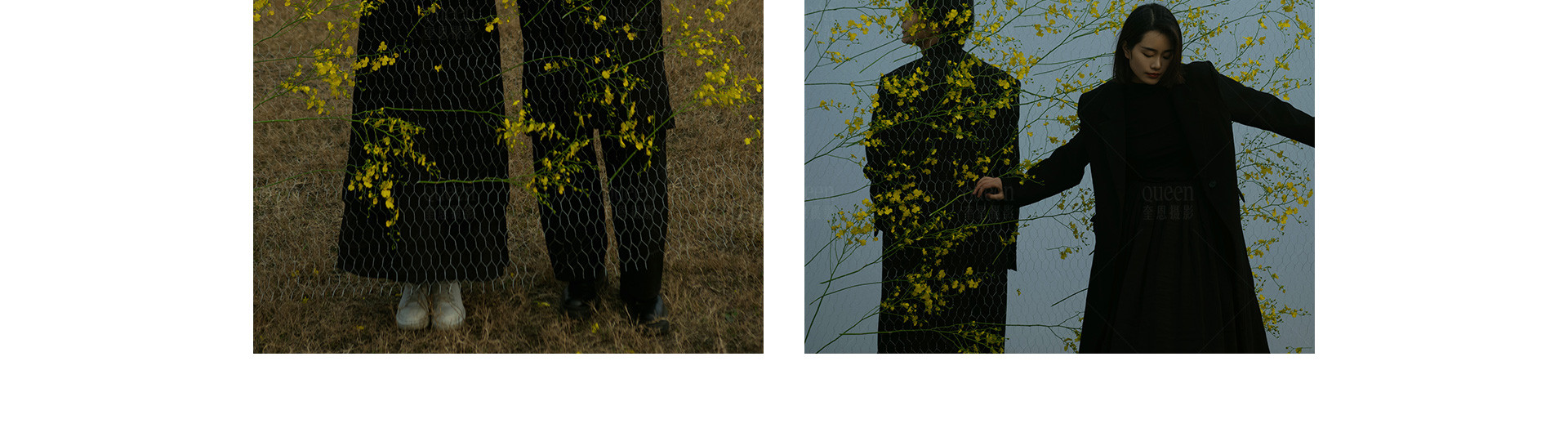 春天的影像诗 | 2023 奎恩摄影 特别企划 新品发布