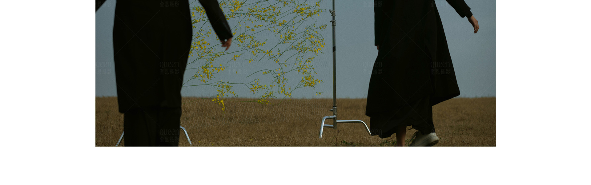 春天的影像诗 | 2023 奎恩摄影 特别企划 新品发布