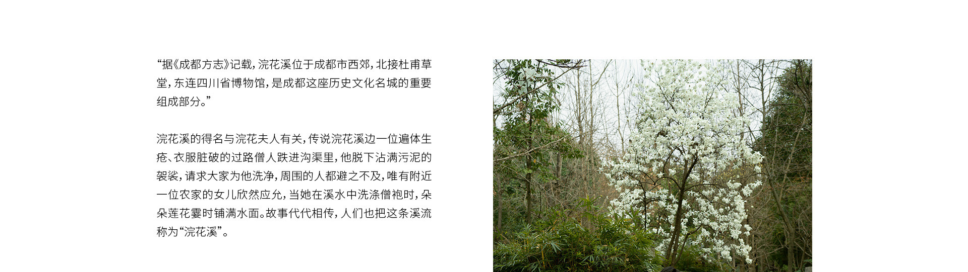 春天，浣花溪記 | 2023 奎恩摄影 意境东方 新品发布  