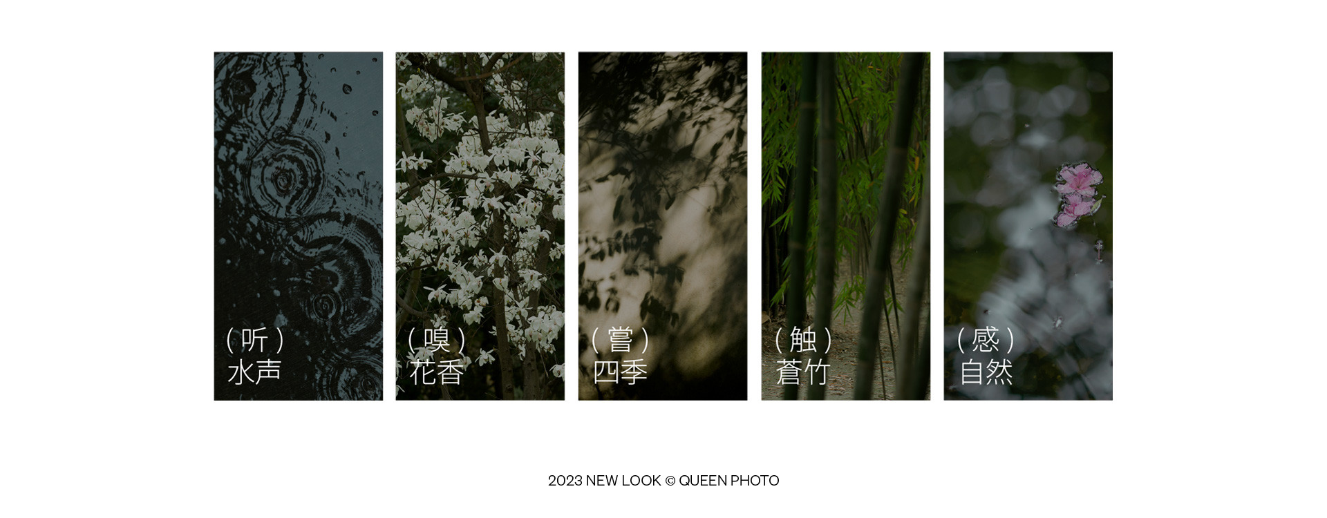 春天，浣花溪記 | 2023 奎恩摄影 意境东方 新品发布  