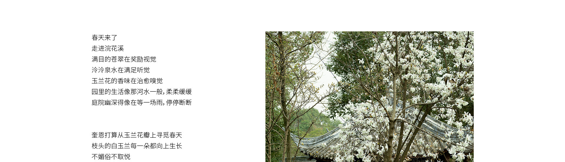 春天，浣花溪記 | 2023 奎恩摄影 意境东方 新品发布  