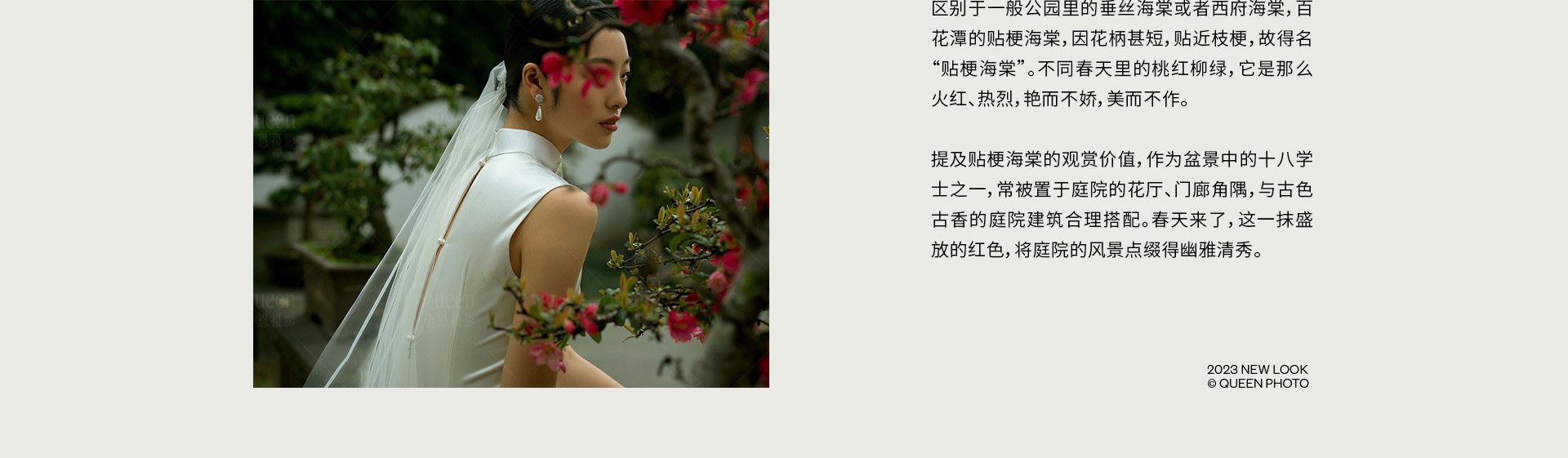 海棠春坞 | 2023 奎恩摄影 意境东方 新品发布