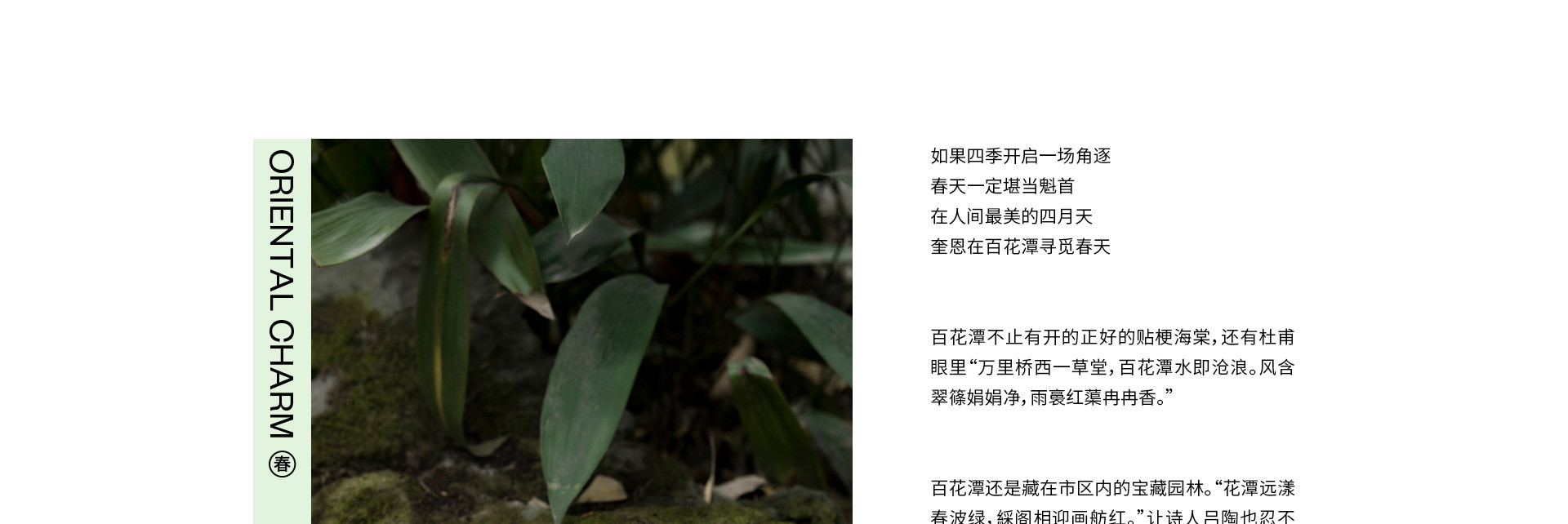 园林春色 | 2023 奎恩摄影 意境东方 新品发布