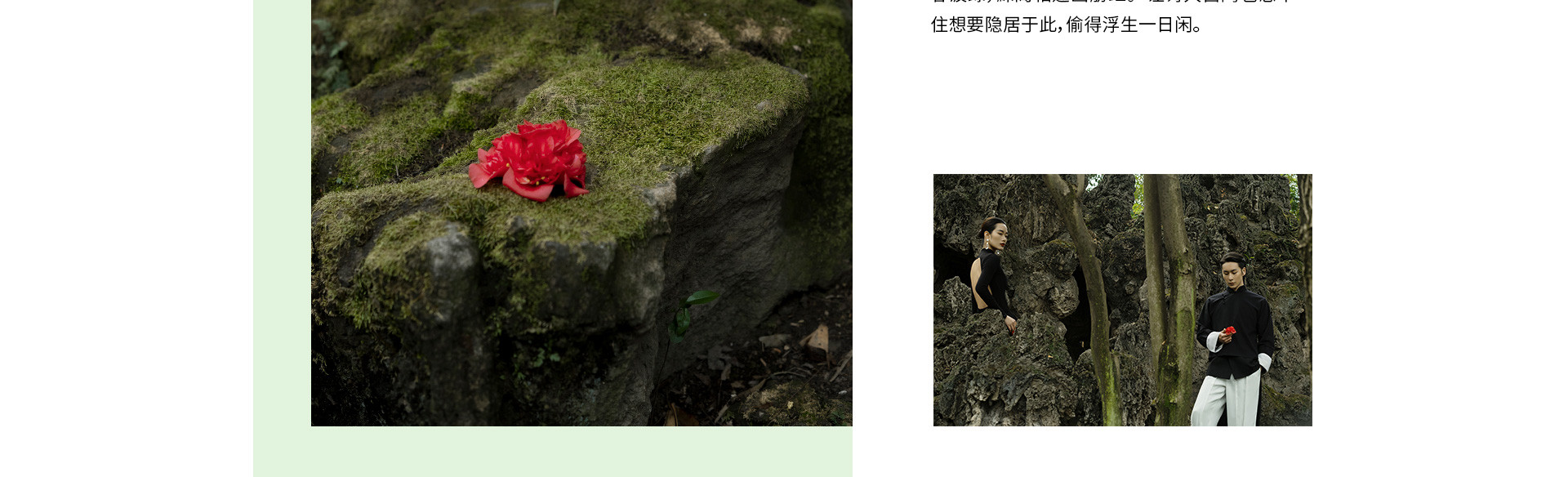 园林春色 | 2023 奎恩摄影 意境东方 新品发布