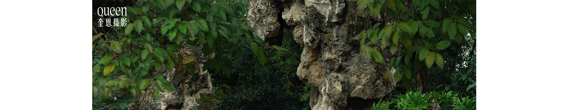 园林春色 | 2023 奎恩摄影 意境东方 新品发布