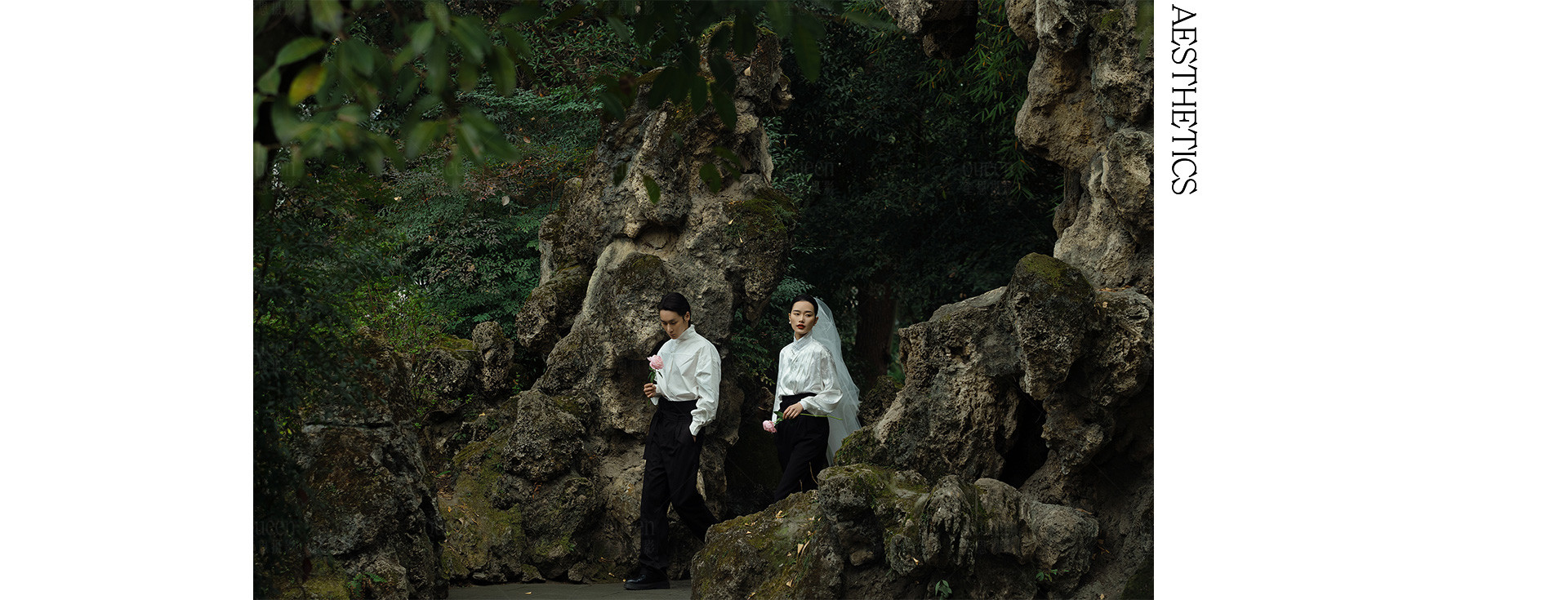 园林春色 | 2023 奎恩摄影 意境东方 新品发布