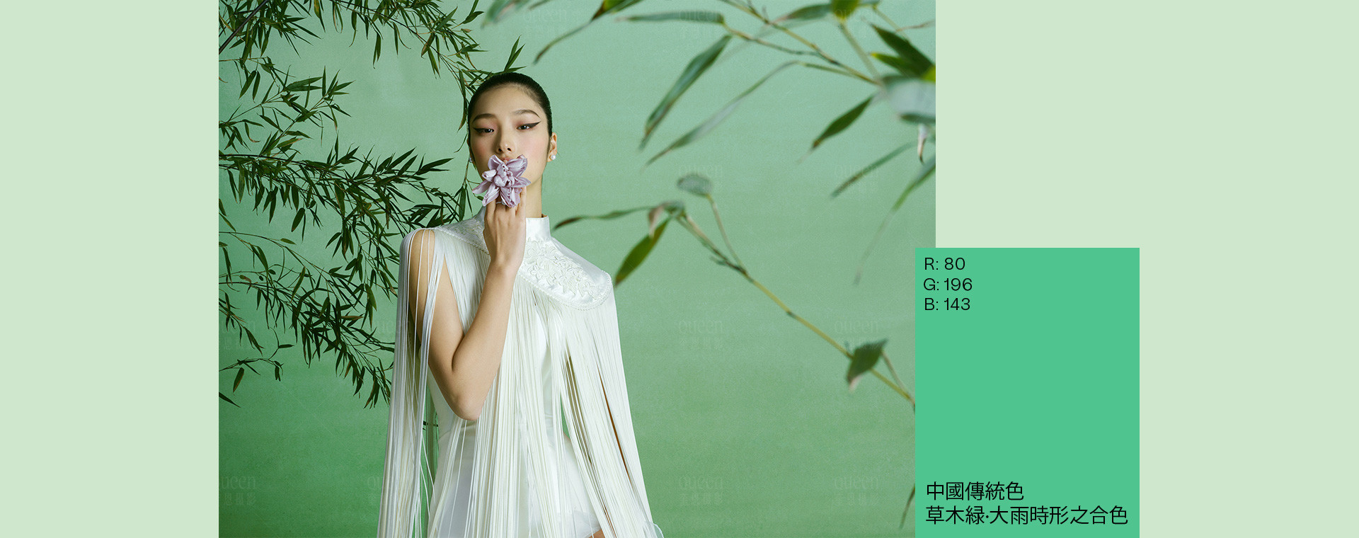 清风恰几许，竹影入画来 | 2023 奎恩摄影 意境东方 新品发布