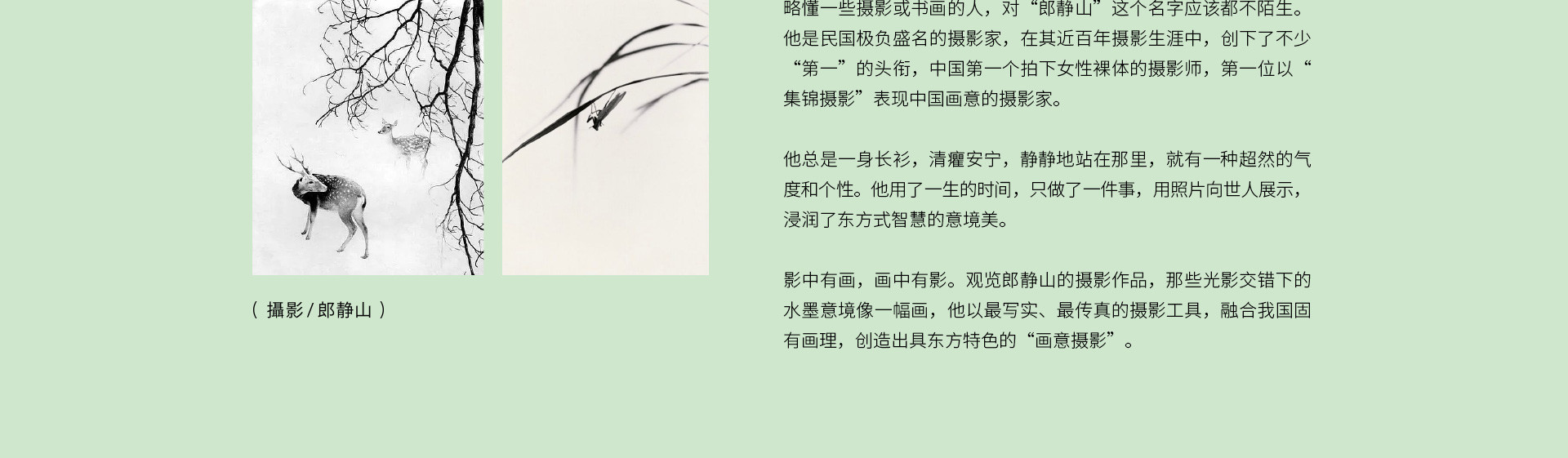 清风恰几许，竹影入画来 | 2023 奎恩摄影 意境东方 新品发布