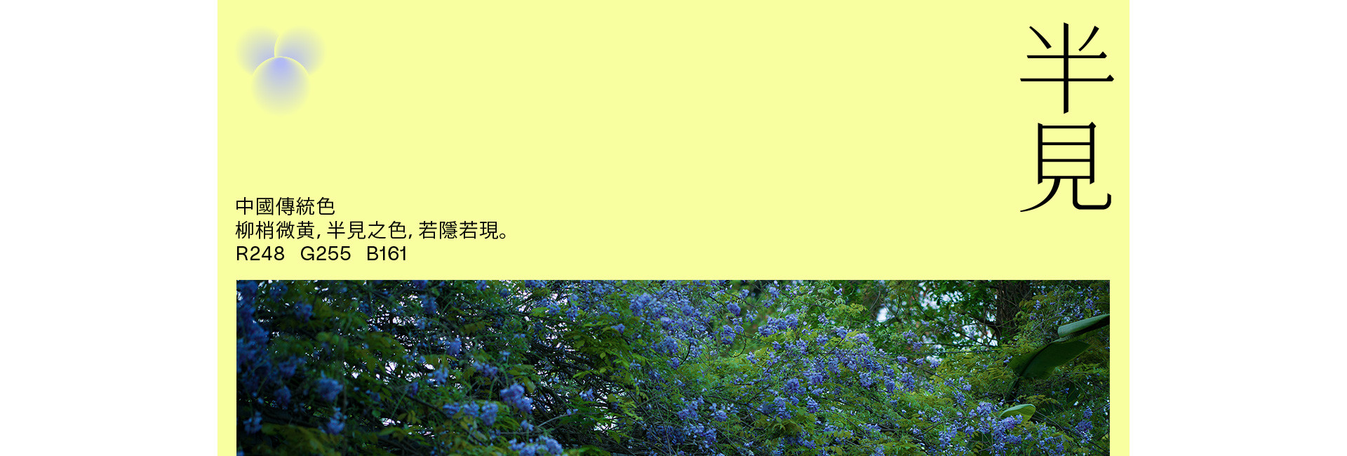 半見之色  |  2023  奎恩摄影 意境东方 新品发布