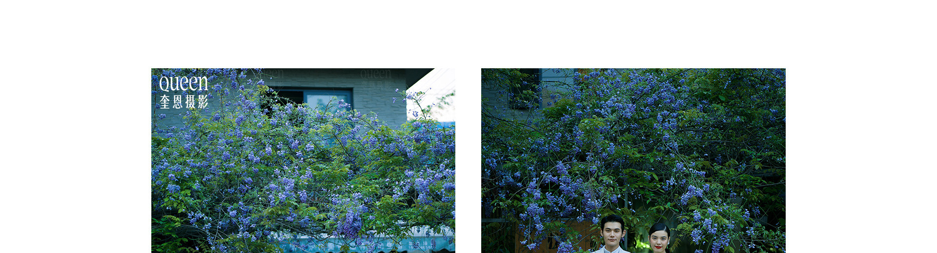 半見之色  |  2023  奎恩摄影 意境东方 新品发布