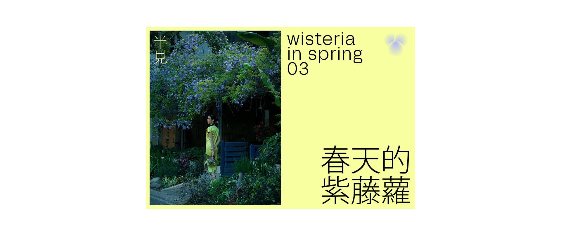 半見之色  |  2023  奎恩摄影 意境东方 新品发布