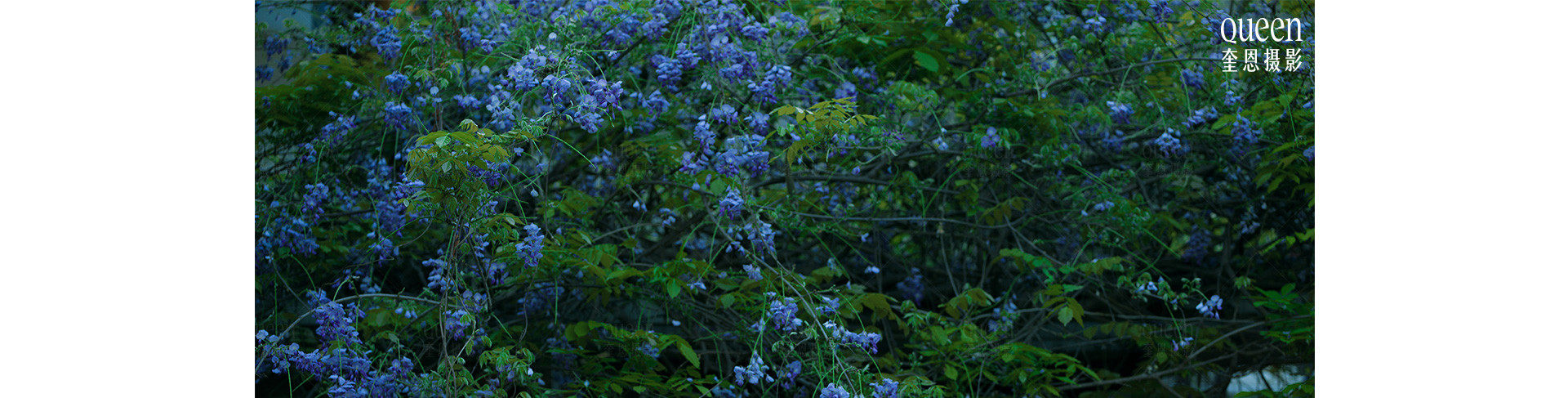 半見之色  |  2023  奎恩摄影 意境东方 新品发布