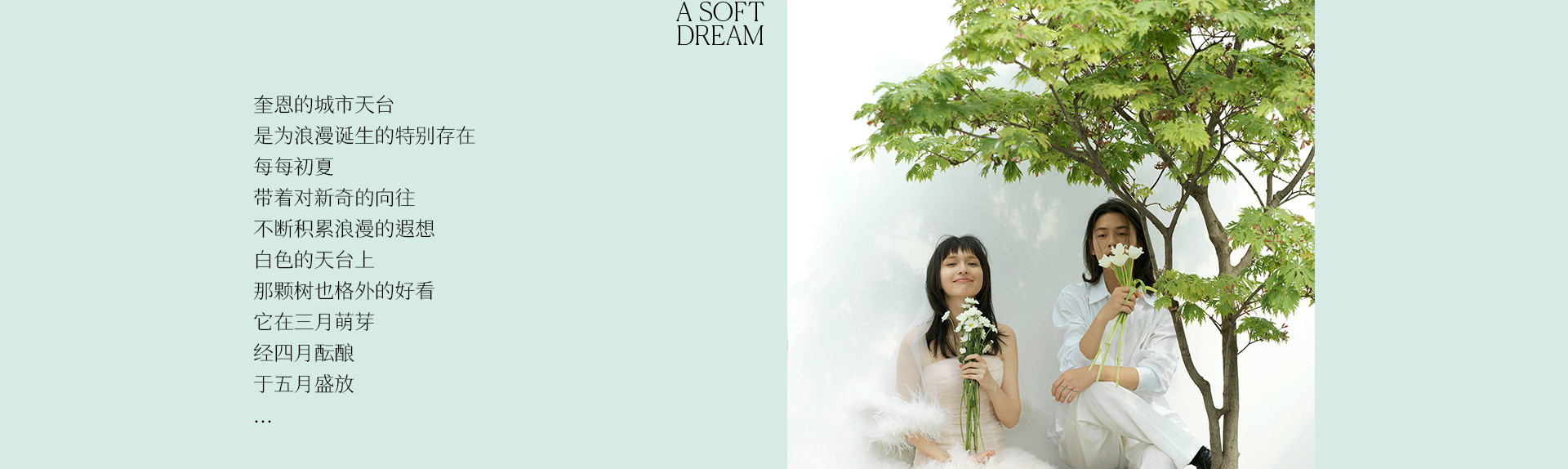 A SOFT DREAM | 2023 奎恩摄影 特别企划 新品发布