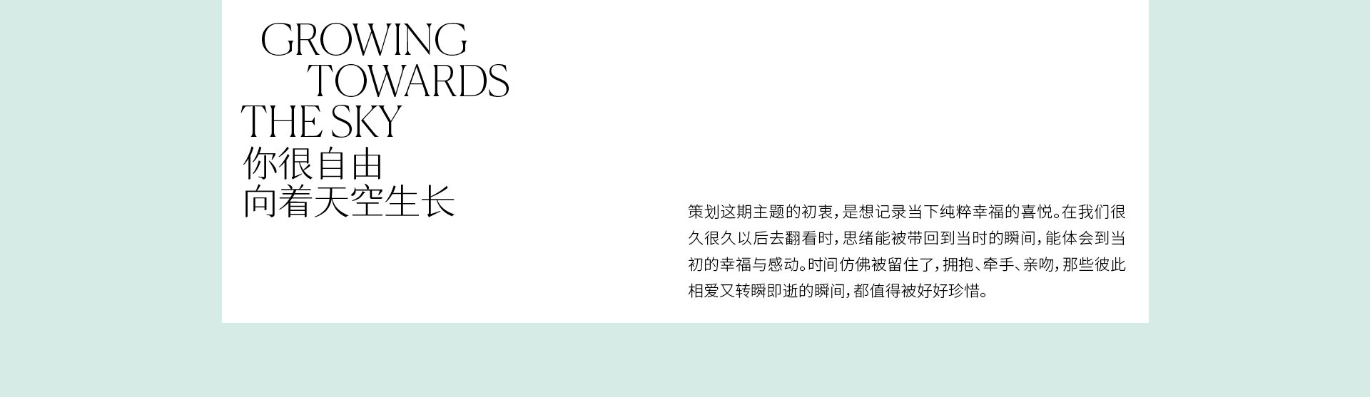 A SOFT DREAM | 2023 奎恩摄影 特别企划 新品发布