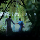 七彩熊 &荷包蛋