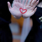 七彩熊 &荷包蛋