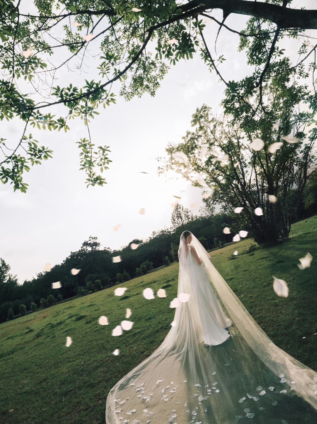 Petal Vows