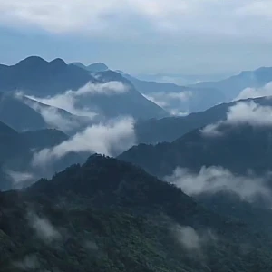 皇家品牌诉说