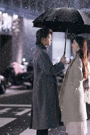 在你的冬夜里闪耀