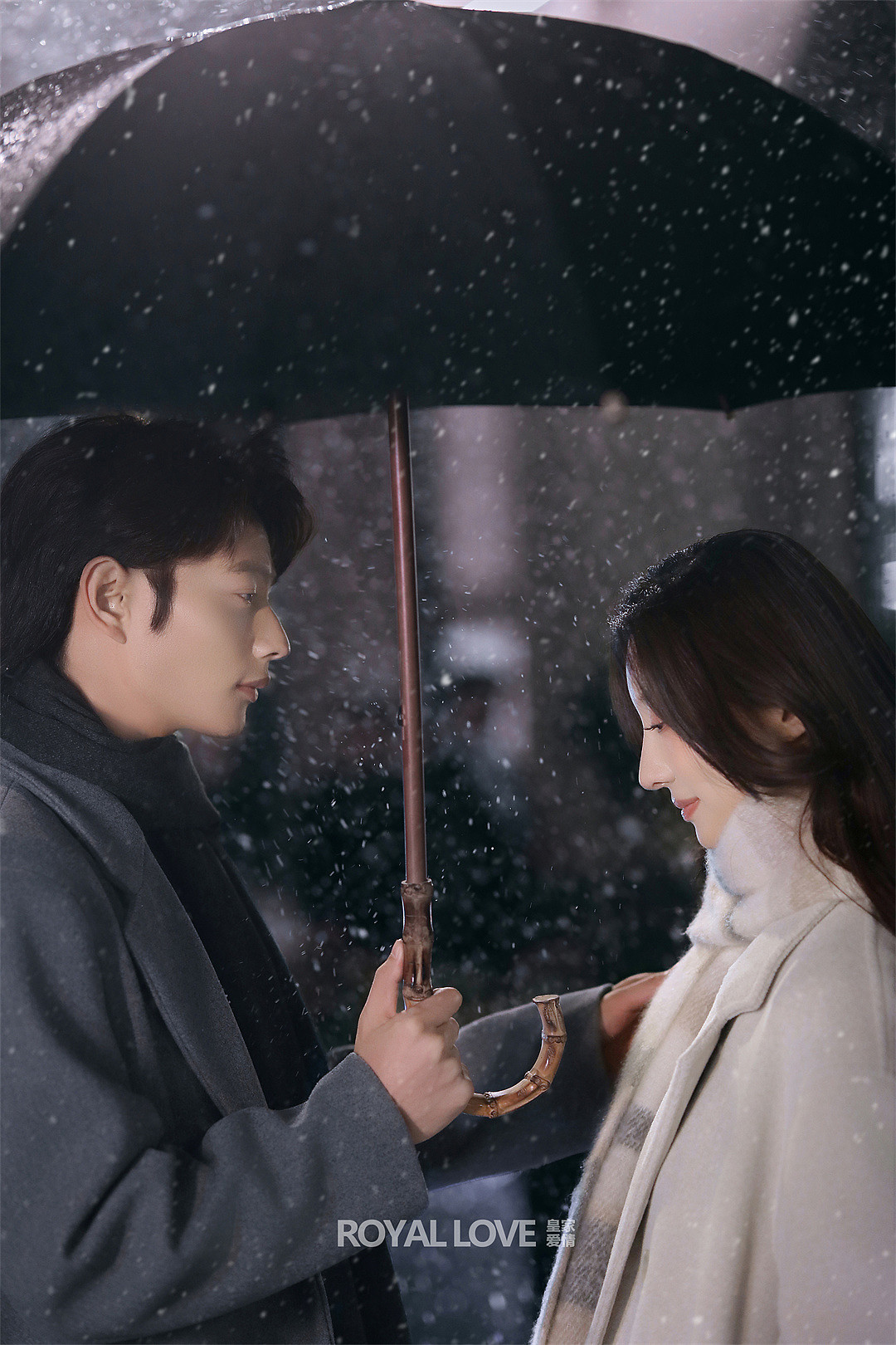 在你的冬夜里闪耀