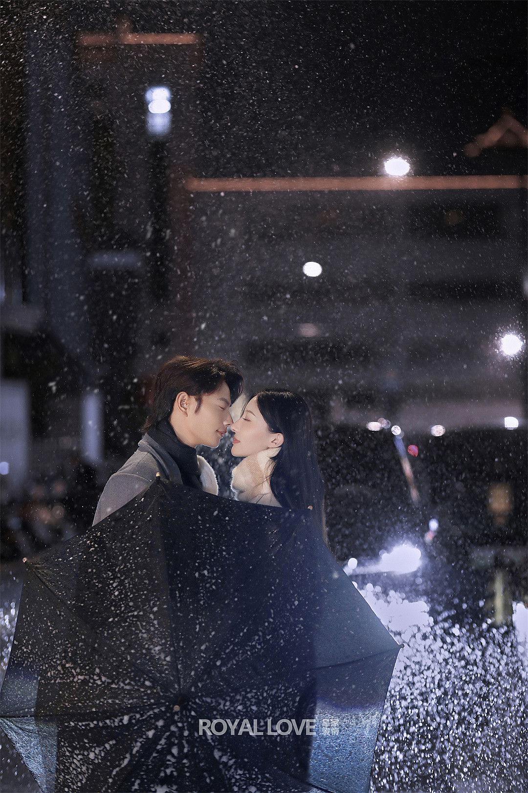 在你的冬夜里闪耀