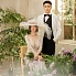 王先生&沈小姐