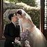 吴先生&陈小姐