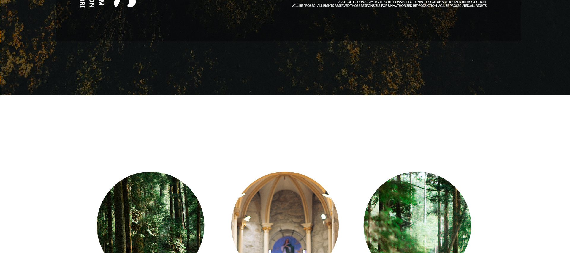 《森系影展》· 浪漫仪式