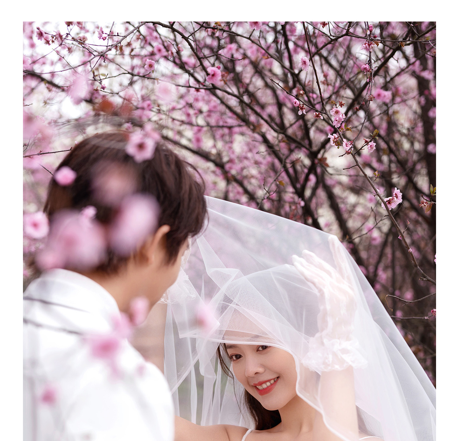 春风十里，独韵客照<.SPRING.>焕新你的美