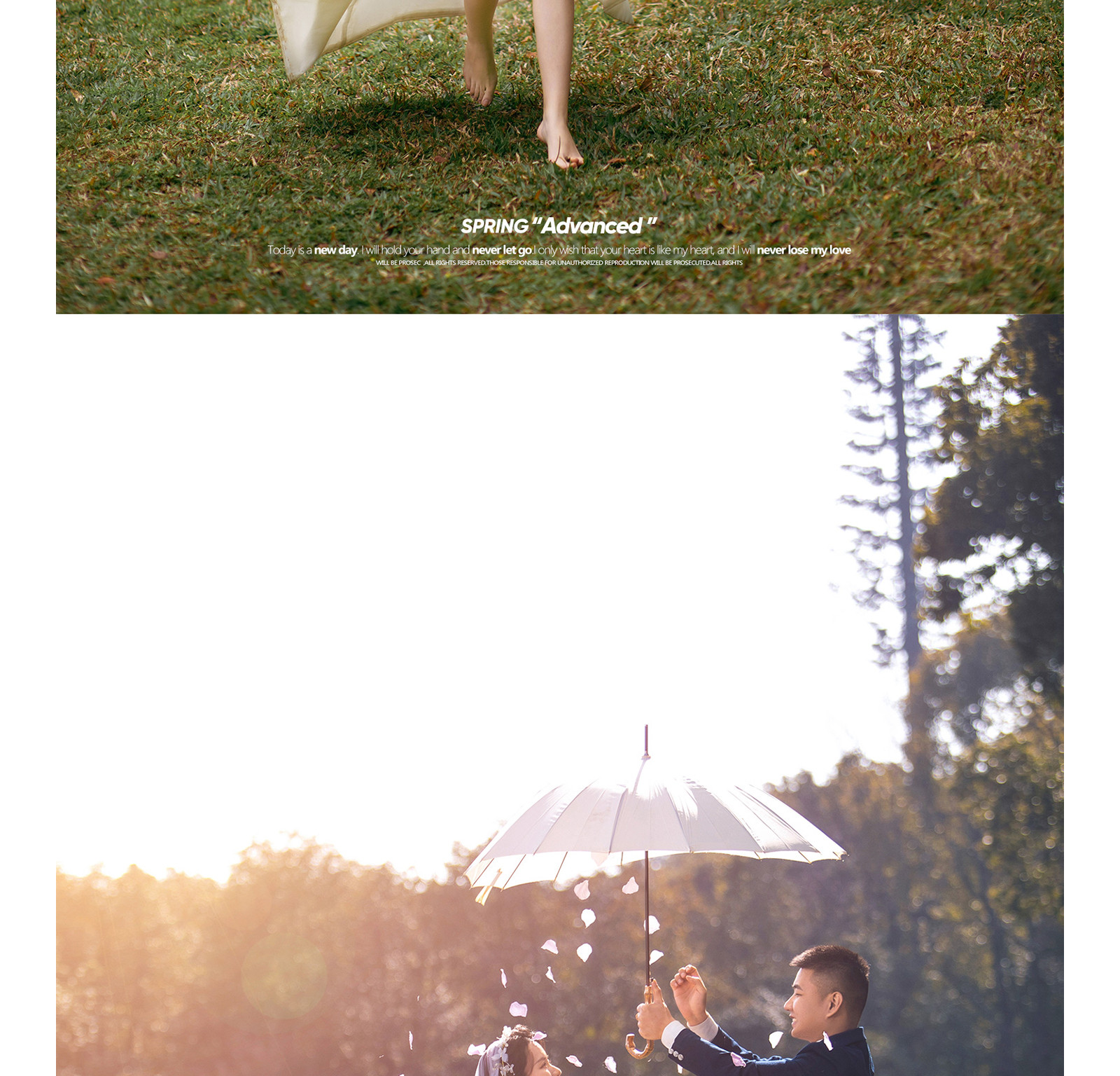 春风十里，独韵客照<.SPRING.>焕新你的美