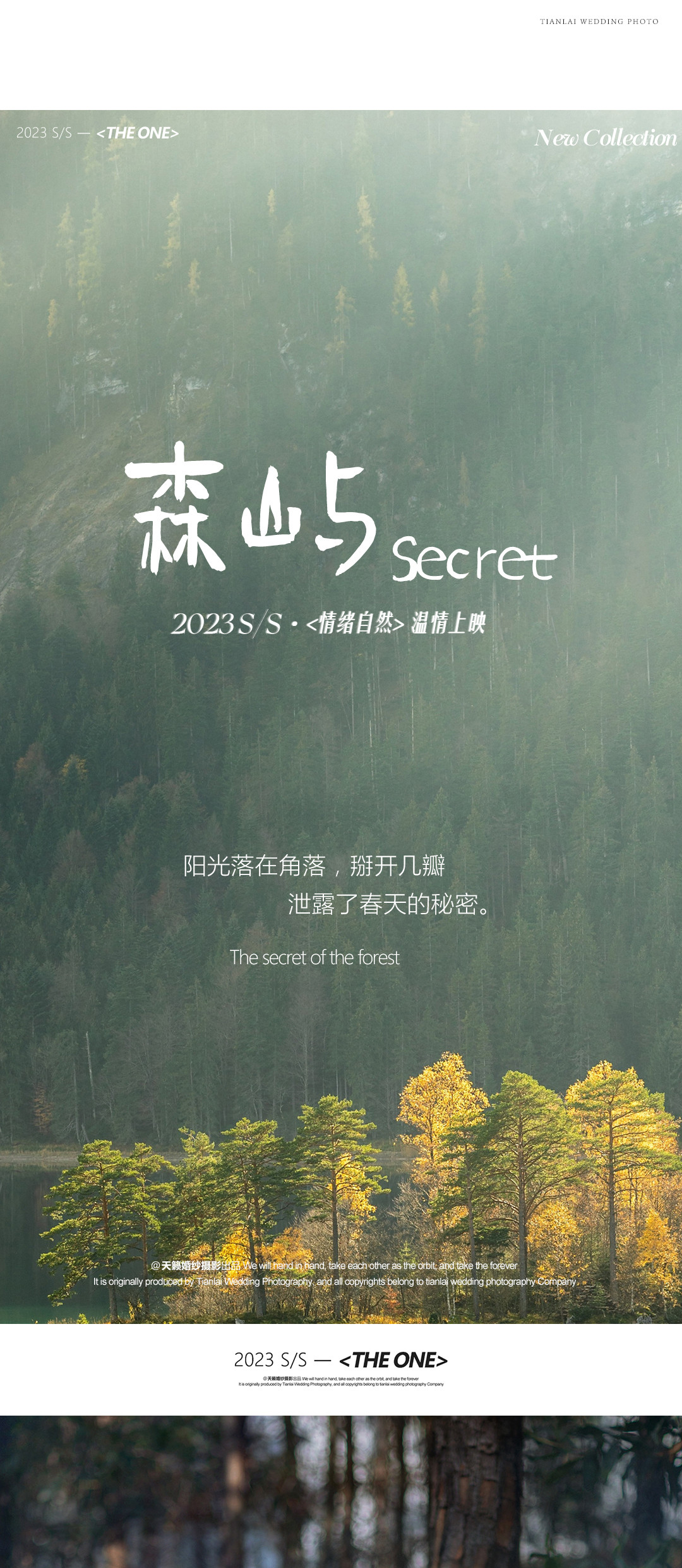 春漾 《THE ONE》，爱是久藏的一封信