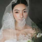 光影臻藏