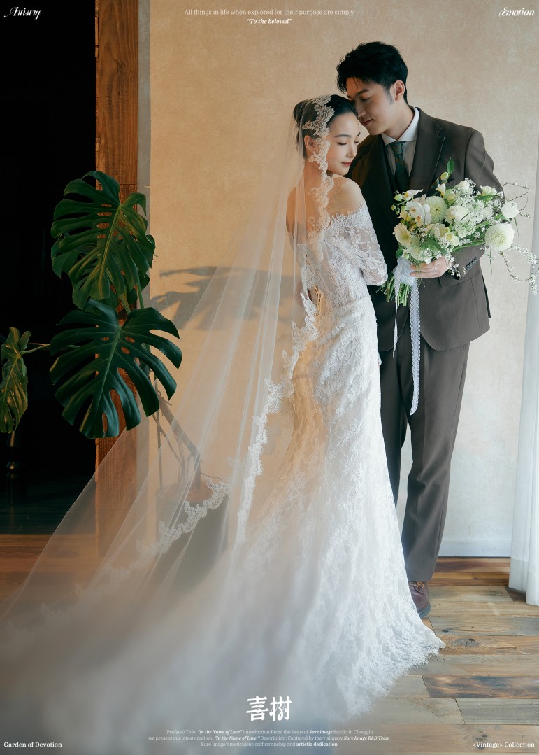 中古蕾丝（内景）