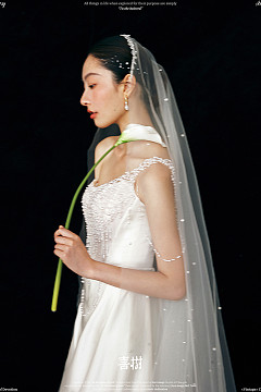 Pearl Vignette（内景）