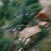 不必盛大 只要真实