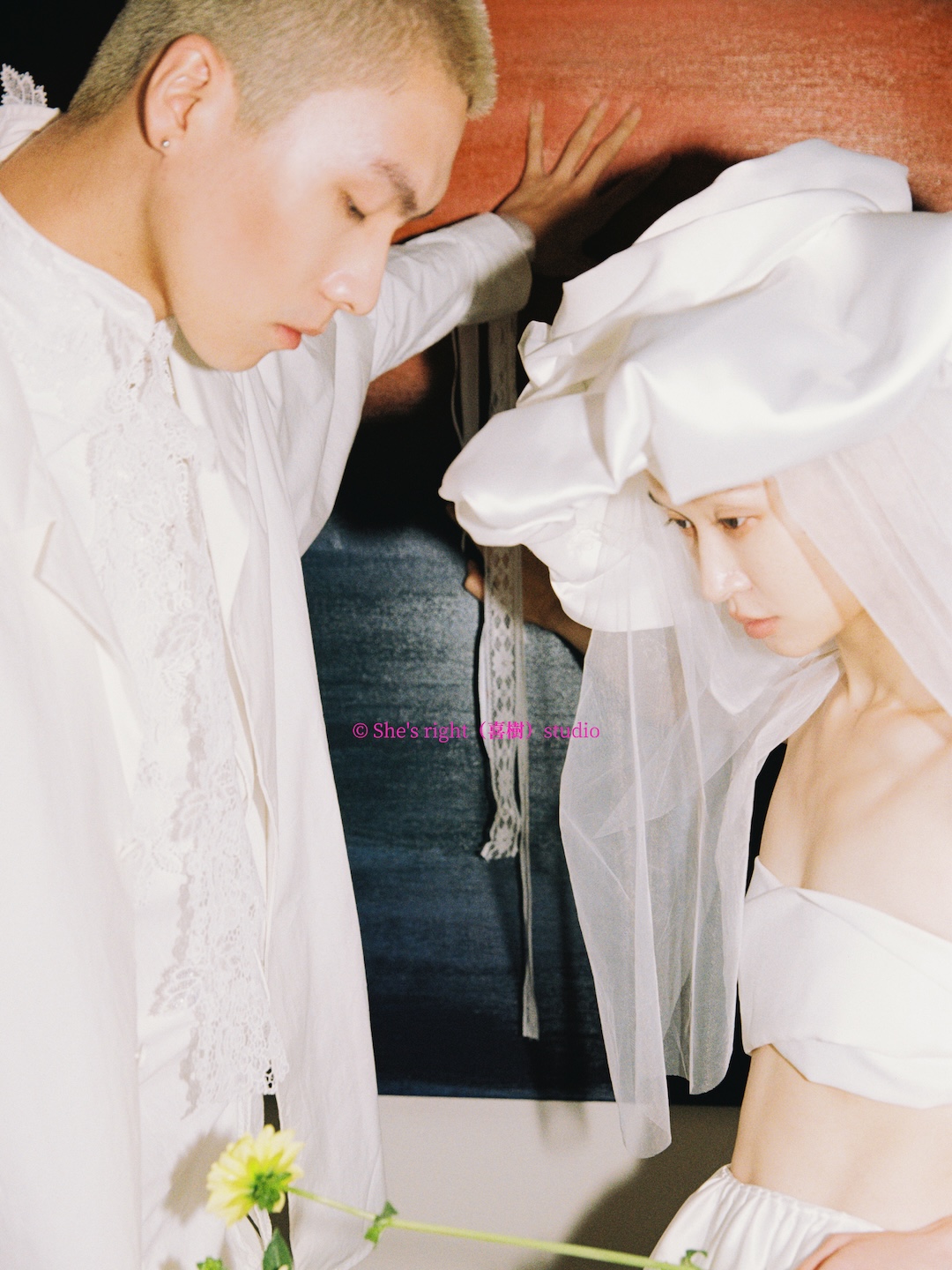 我的爱是一座绿色灯塔