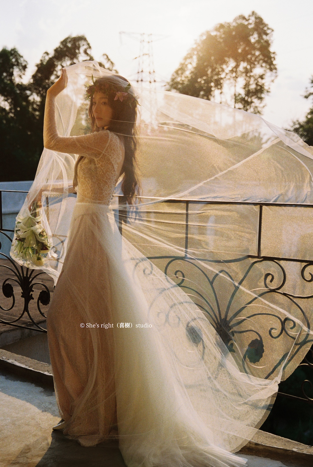 黄昏的风 不敢吹乱她半分