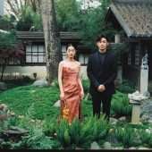 风过时 万物如初醒